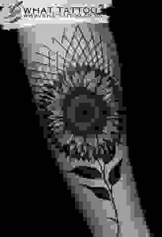 Fineline Geometric Sunflower Tattoo on Woman’s Forearm 