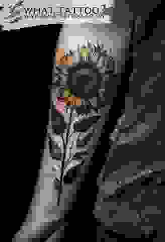 Fineline Sunflower Tattoo on Woman’s Arm  