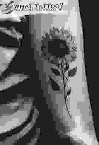 Minimal Sunflower Tattoo on Woman’s Arm D6